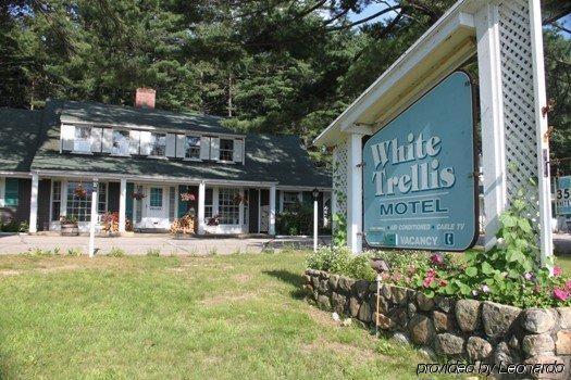 White Trellis Motel Норд Конуей Екстериор снимка